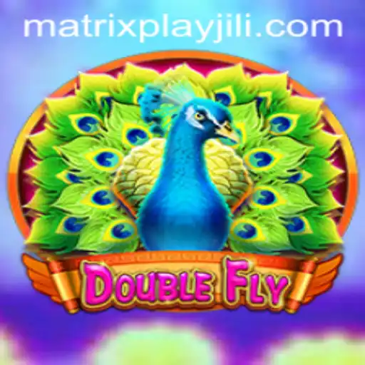Exploring the World of DoubleFly: A New Frontier in MatrixPlay